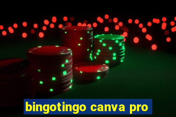 bingotingo canva pro